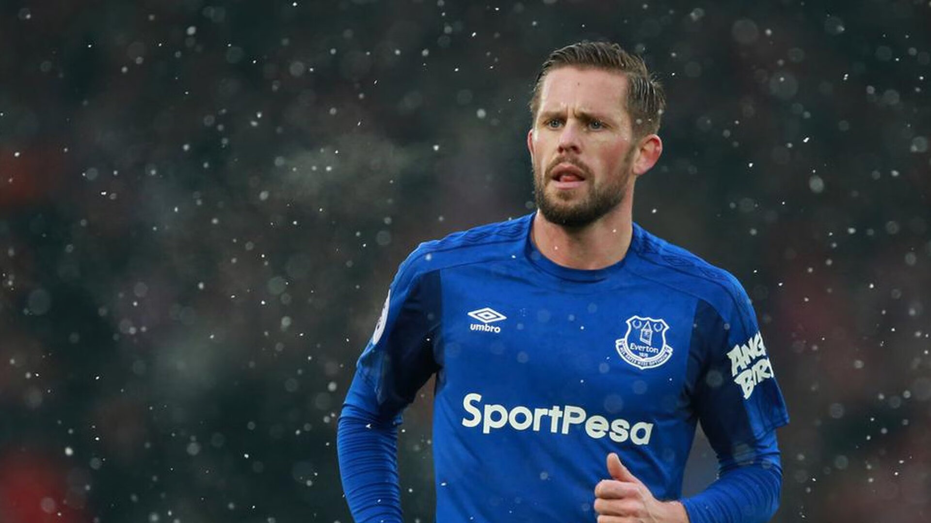 森林狼对阵国王，小贾伦冠军级表现，狼群崛起的新图腾