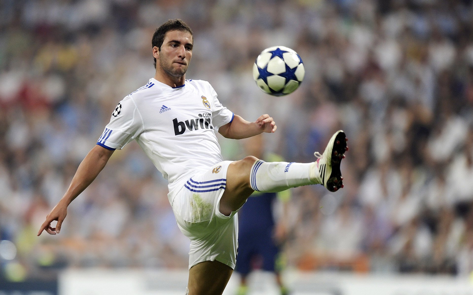 英超争冠焦点战，绿茵场上的安哥拉式淘汰与生存哲学